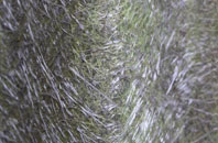 Bybrook fibreglass roof work